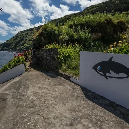 Esperanca House 2 Daire Maia (Sao Miguel)